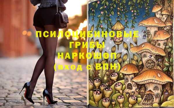 стафф Зеленокумск
