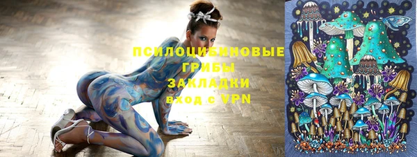стафф Зеленокумск