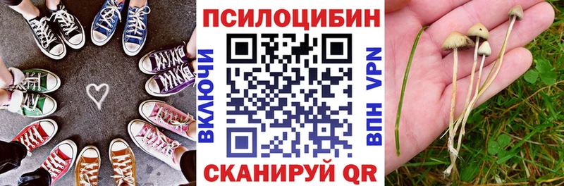 Псилоцибиновые грибы ЛСД  наркота  Заринск 